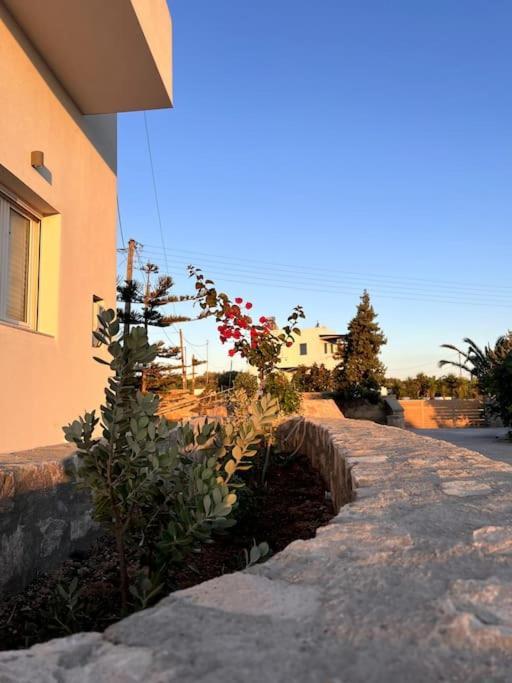 Theasis Apartments Αδάμας Εξωτερικό φωτογραφία